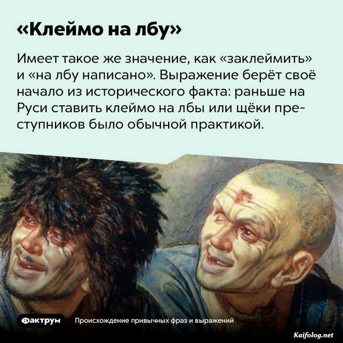 занимательный факт картинка