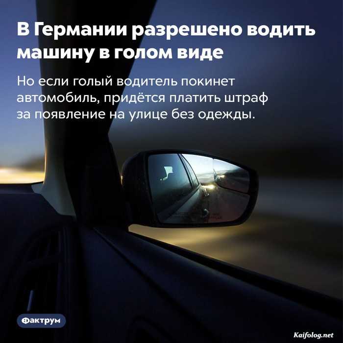 занимательный факт картинка