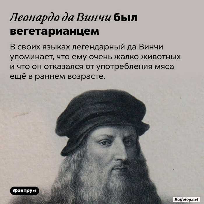 занимательный факт картинка