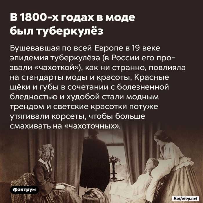 занимательный факт картинка