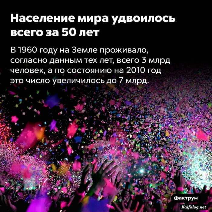 занимательный факт картинка