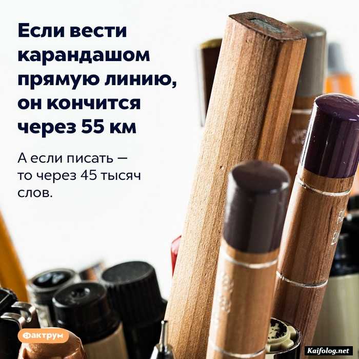 занимательный факт картинка