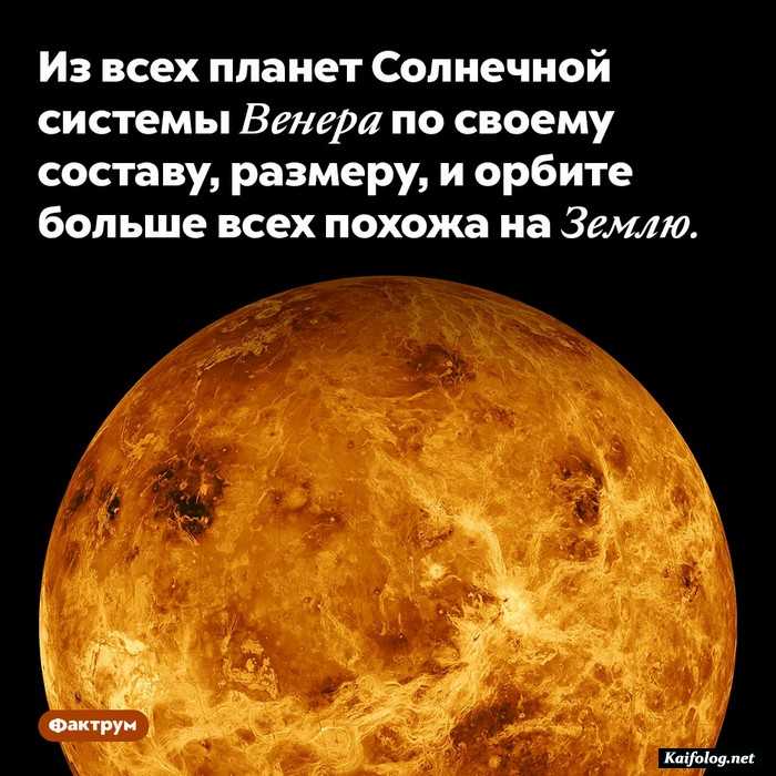 занимательный факт картинка