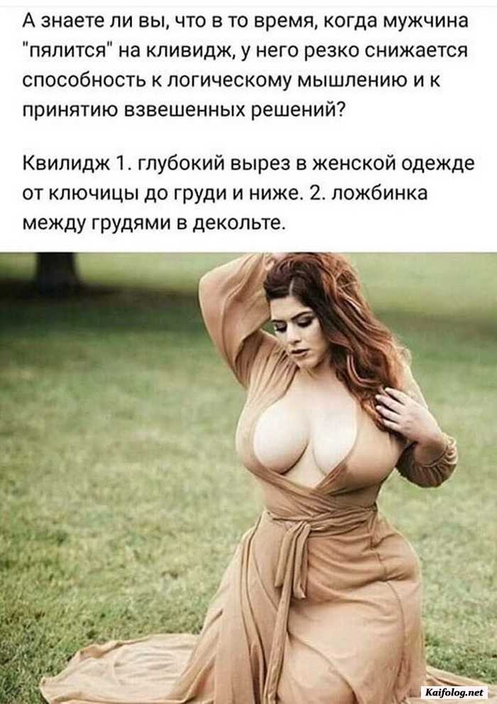 веселая картинка