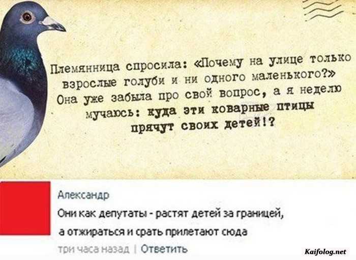 веселая картинка