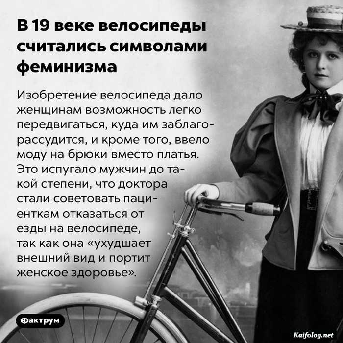 картинка с фактом