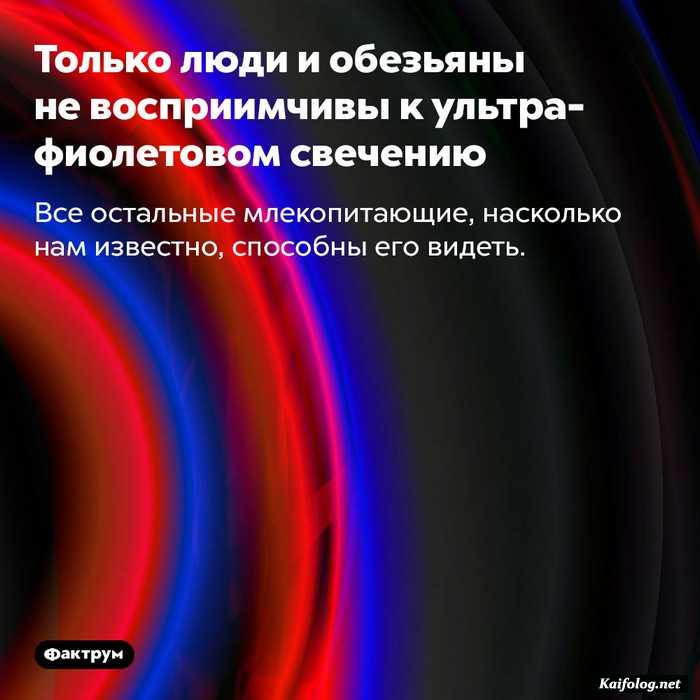 картинка с фактом