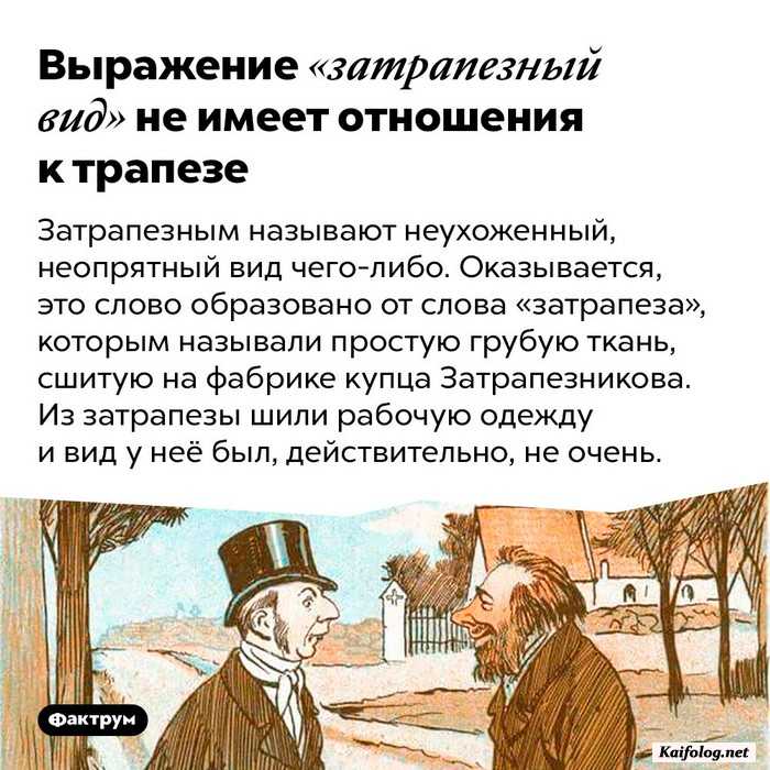 картинка с фактом