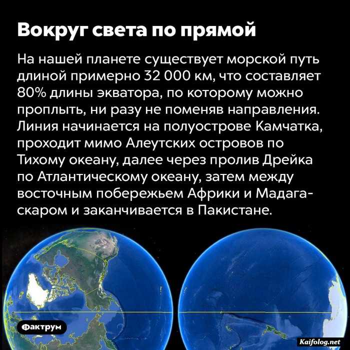 картинка с фактом