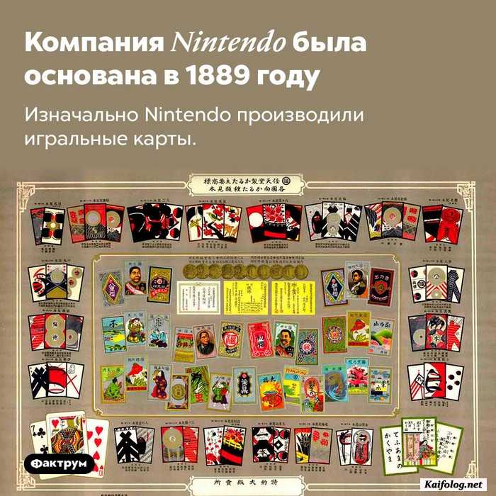 картинка с фактом