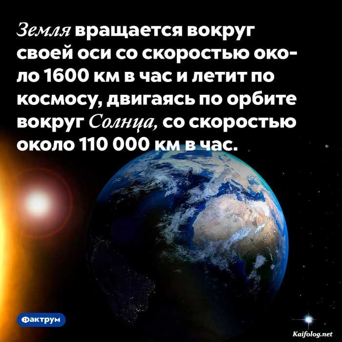 картинка с фактом