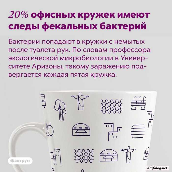 картинка с фактом