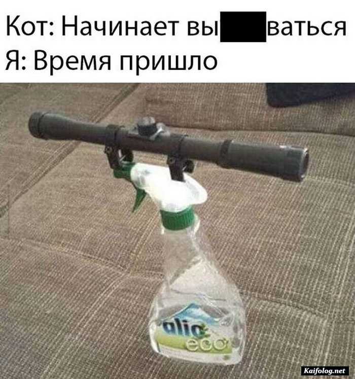 прикол фотография