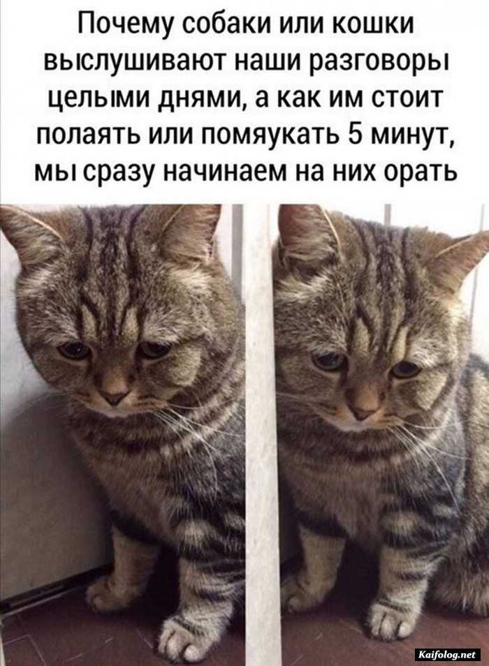 прикол фотография