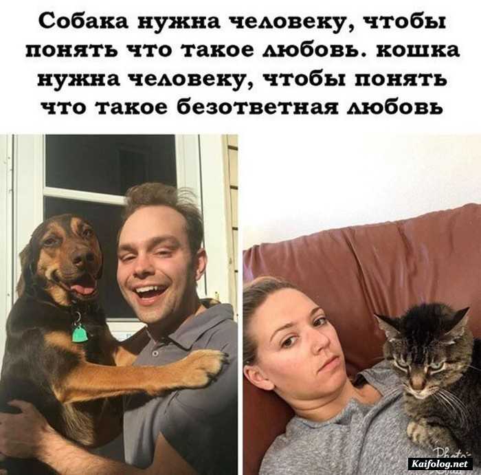 прикол фотография