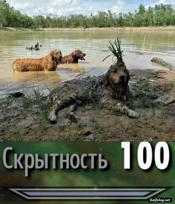 прикол фотография