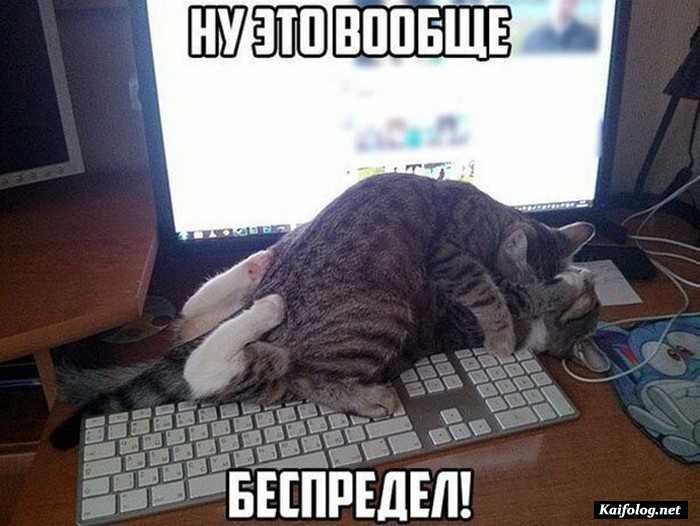 прикол фотография