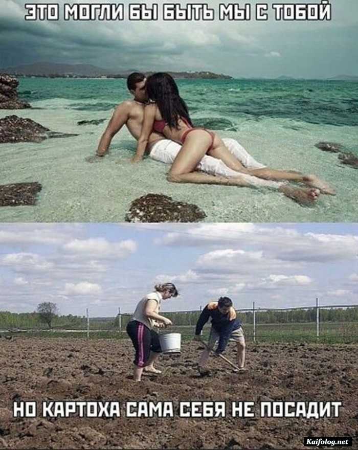 прикол фотография