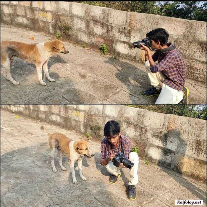 прикол фотография