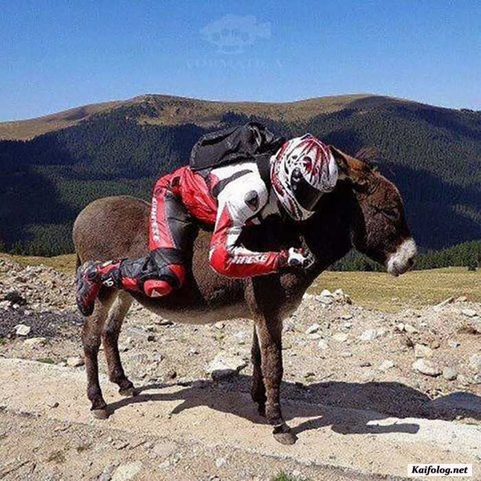 прикол фотография