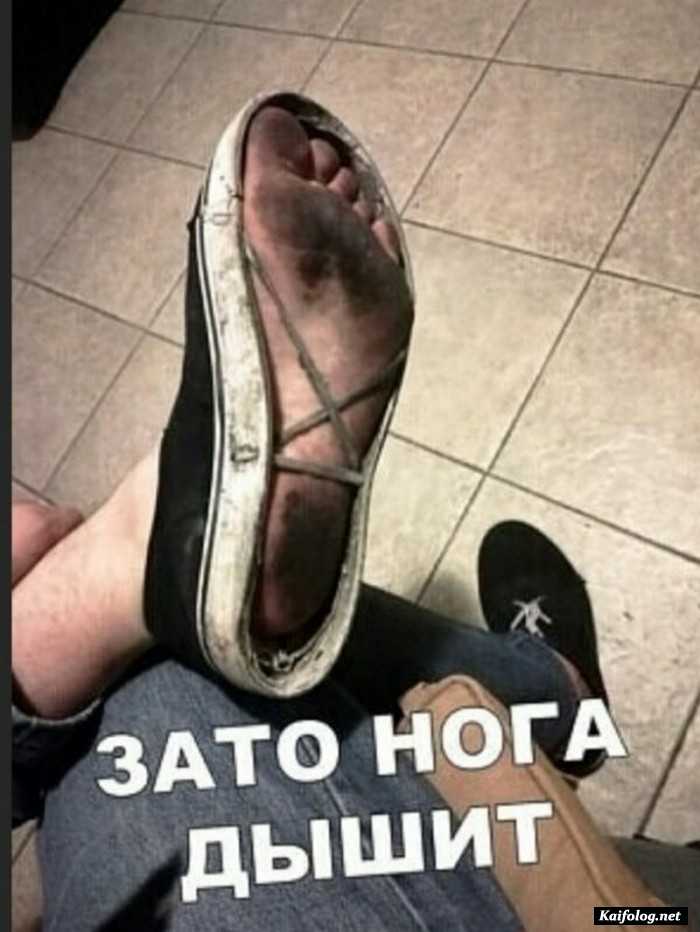 прикол фотография