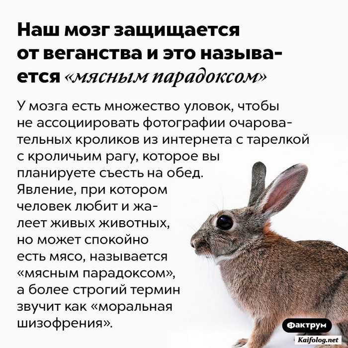 интересный факт
