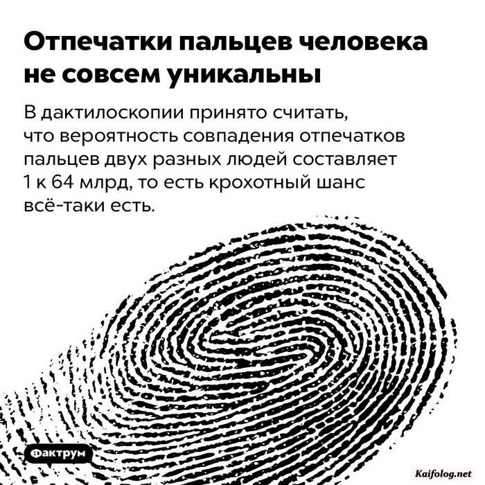 интересный факт