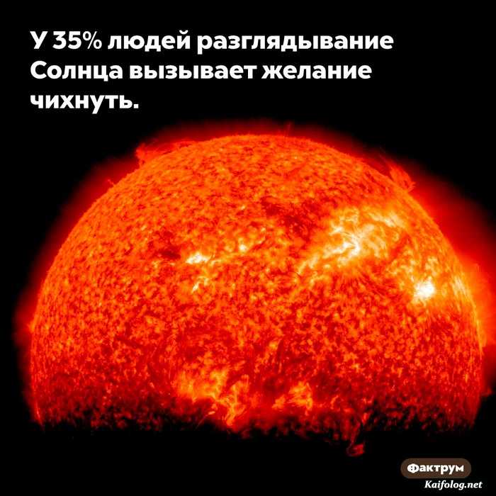 интересный факт