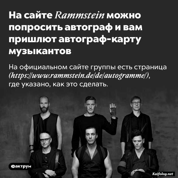 интересный факт