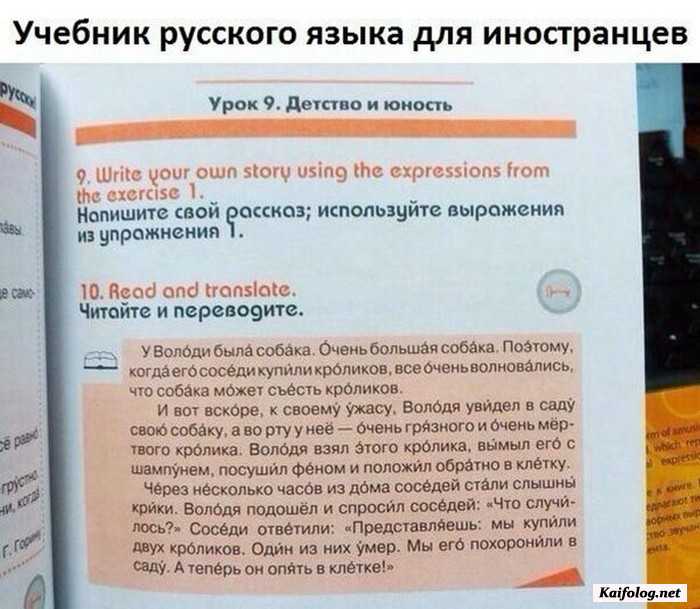 фотоприкол
