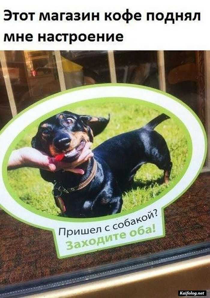фотоприкол