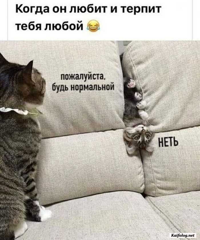 фотоприкол