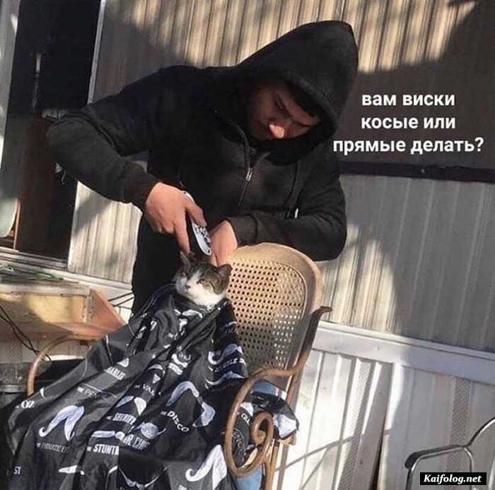 фотоприкол