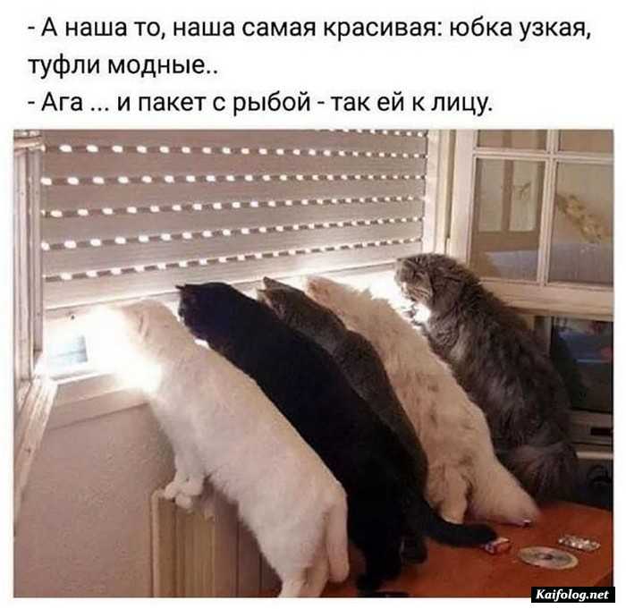 юморное фото