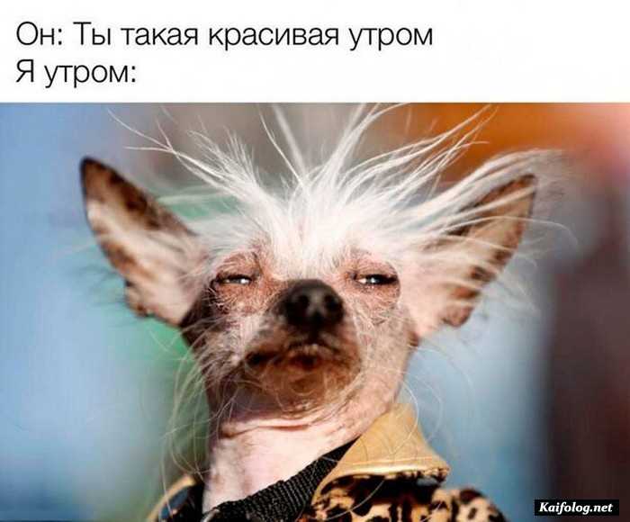 юморное фото