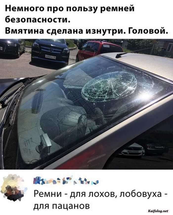 юморное фото