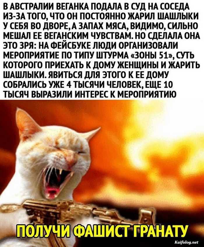 прикол на картинке
