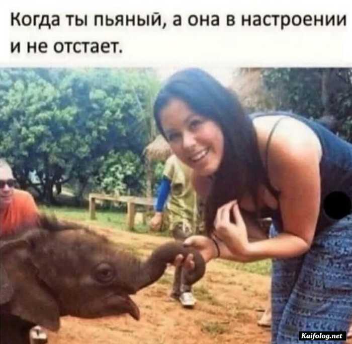 прикол на картинке