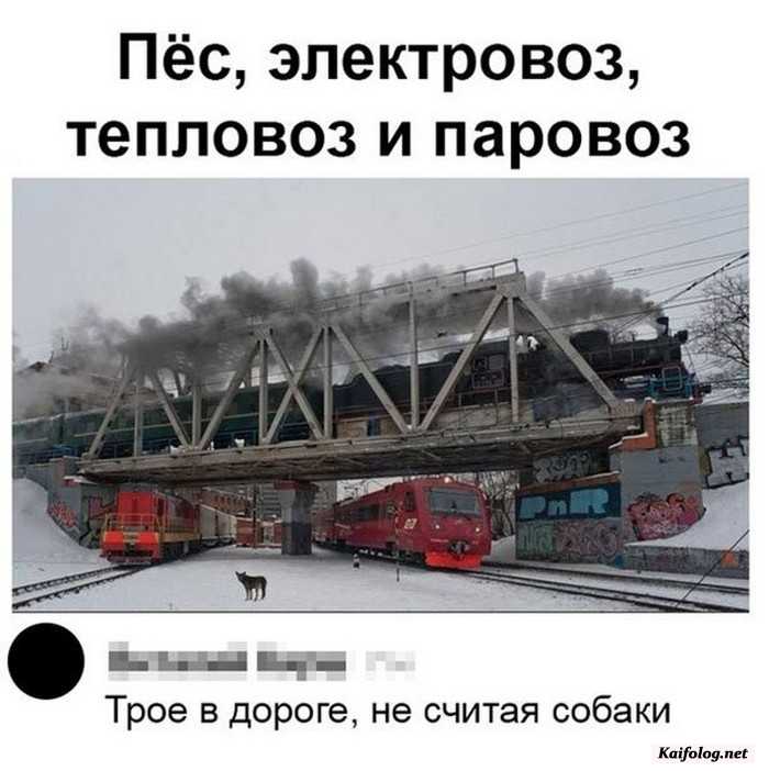 прикольное фото