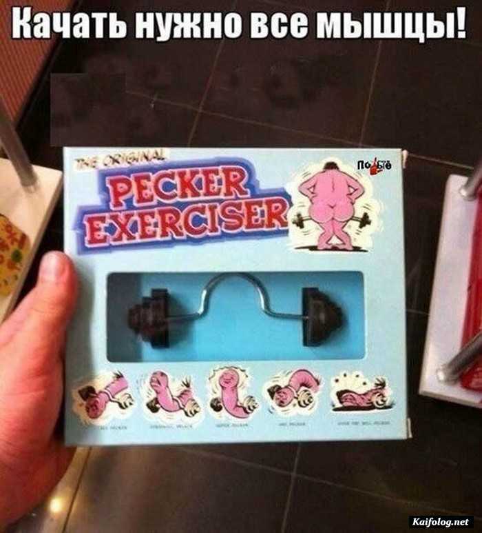 прикольное фото