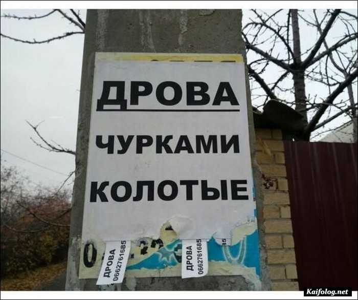 прикольное фото