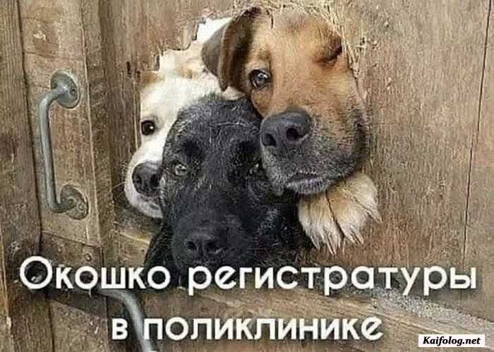 прикольное фото