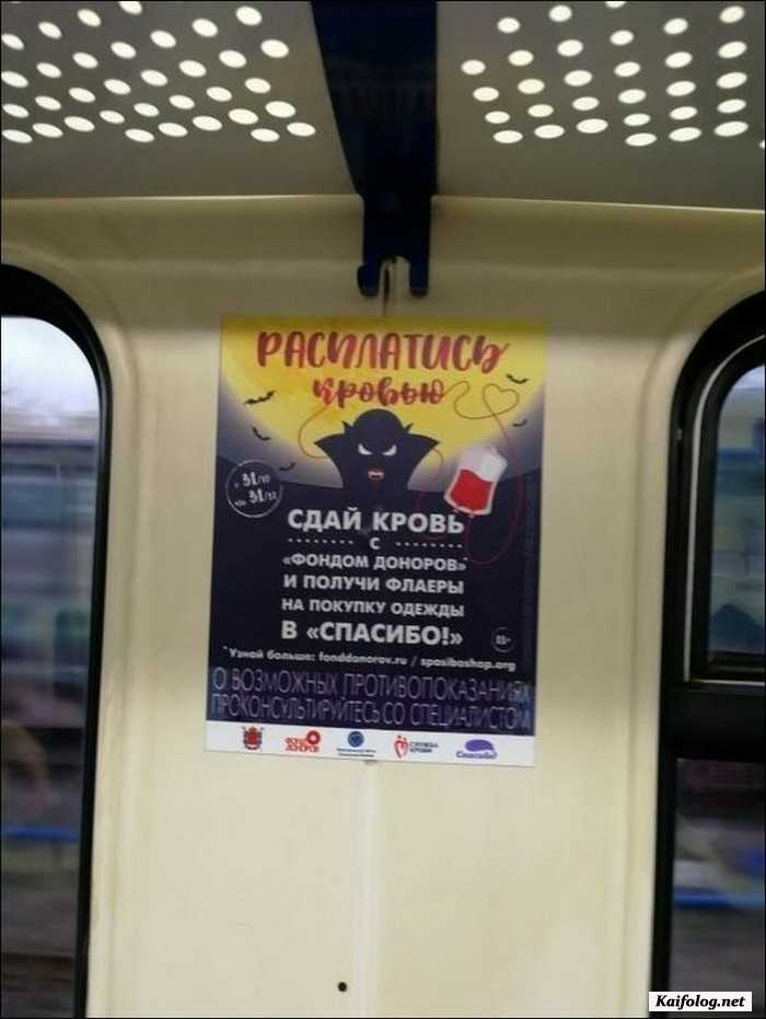 прикольное фото