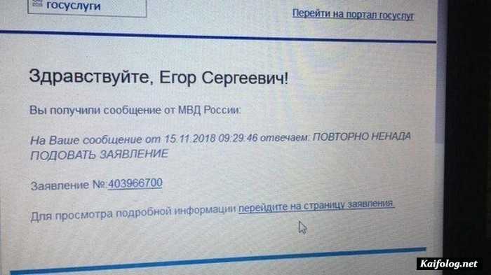 прикольное фото