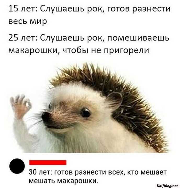 картинка прикол