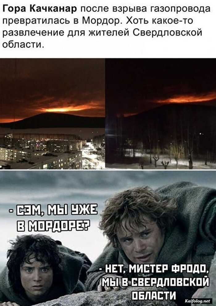 картинка прикол