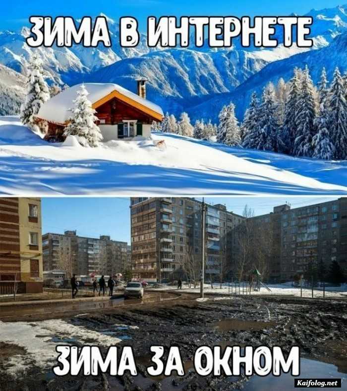 картинка с юмором