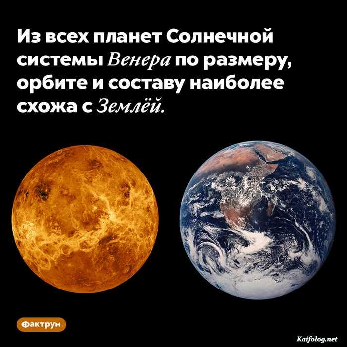 факт занимательный
