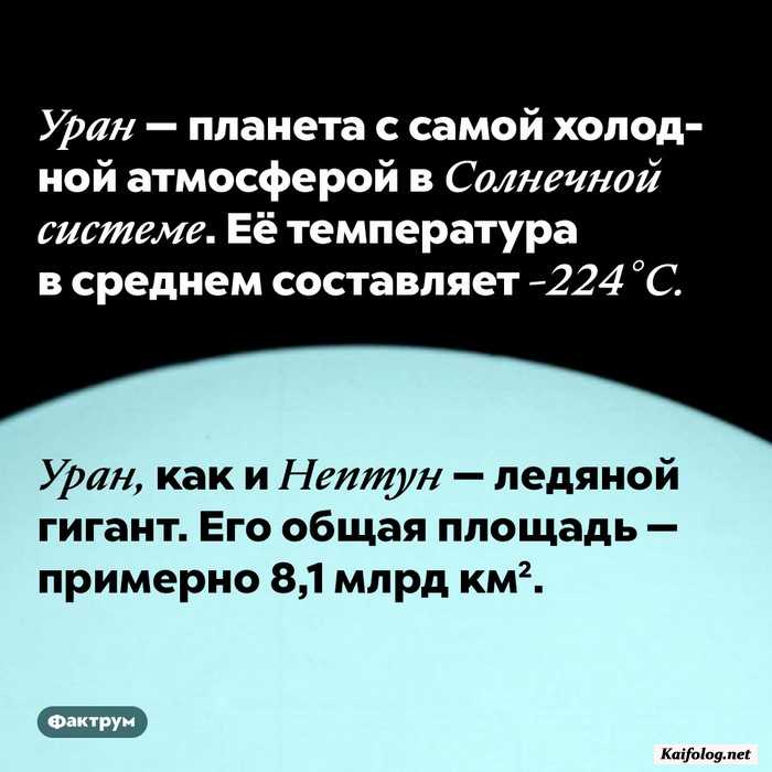 факт занимательный