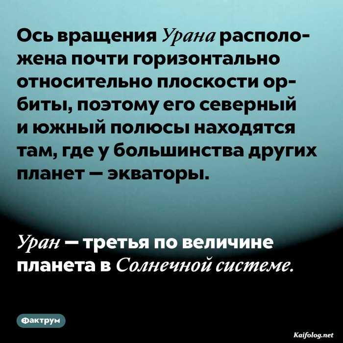 факт занимательный